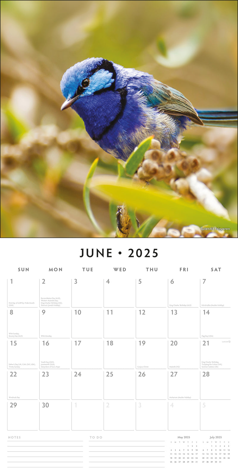 Cute Birds 2025 Square Wall Calendar