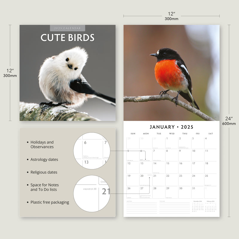 Cute Birds 2025 Square Wall Calendar