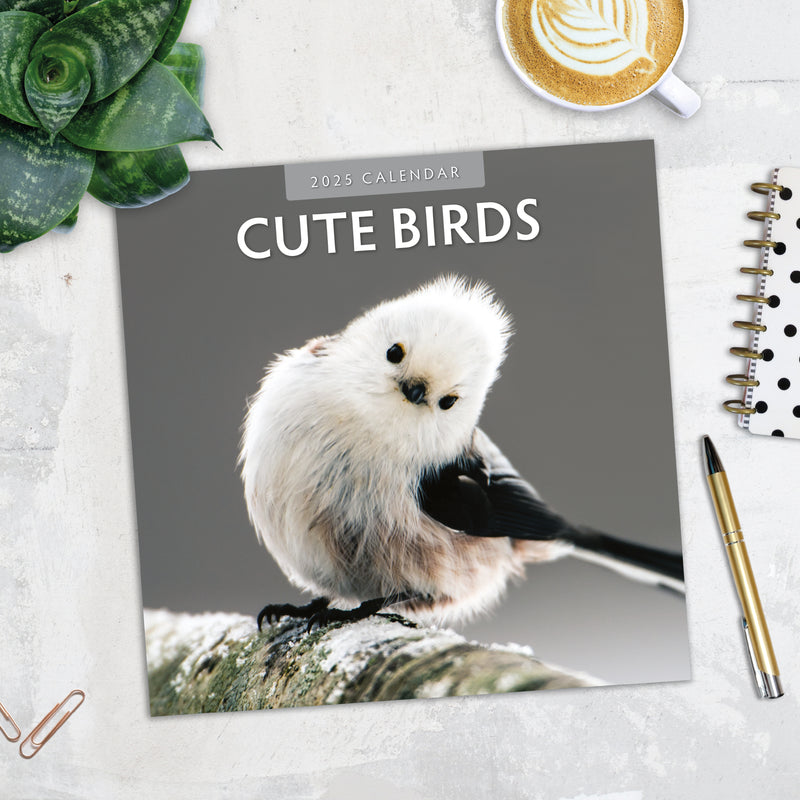 Cute Birds 2025 Square Wall Calendar