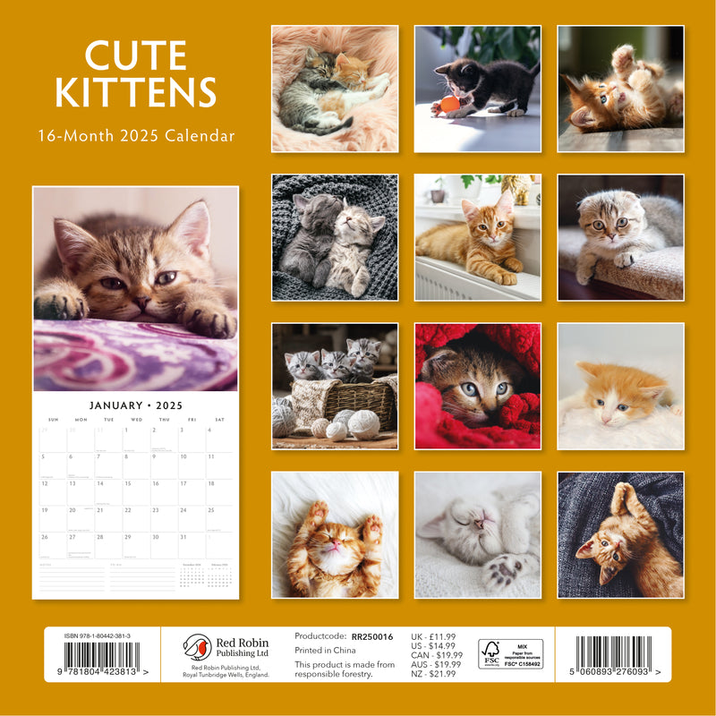 Cute Kittens 2025 Square Wall Calendar