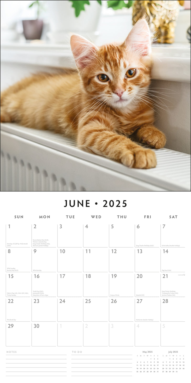 Cute Kittens 2025 Square Wall Calendar