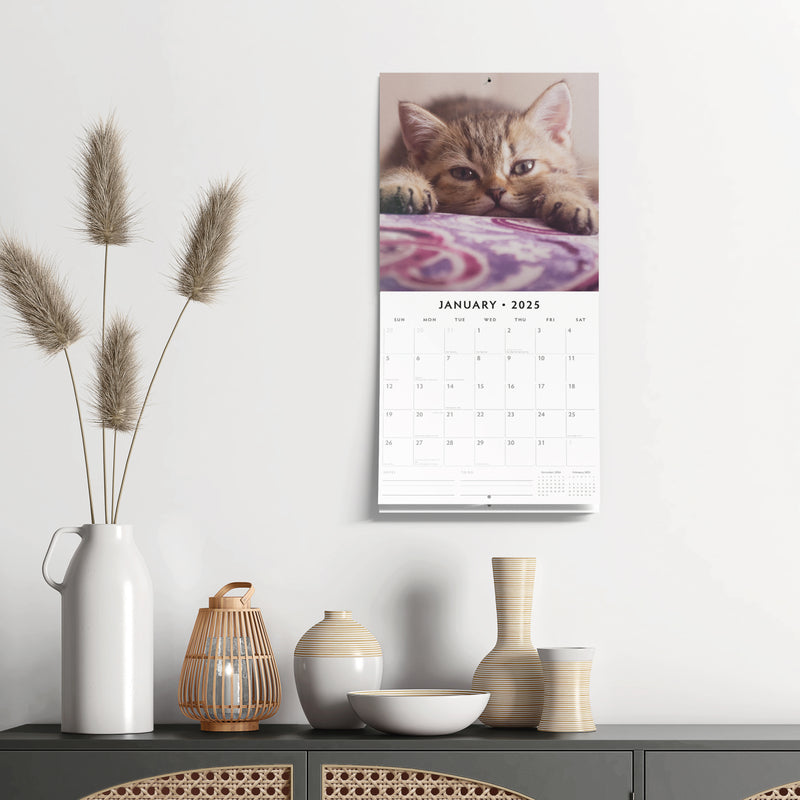 Cute Kittens 2025 Square Wall Calendar