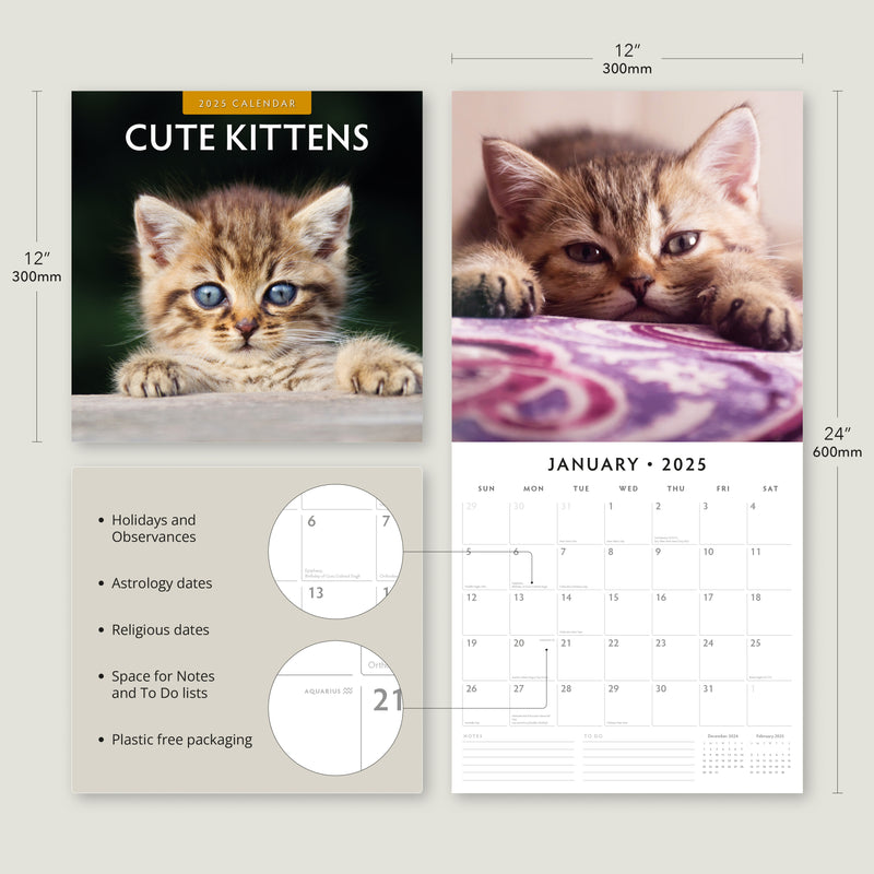 Cute Kittens 2025 Square Wall Calendar