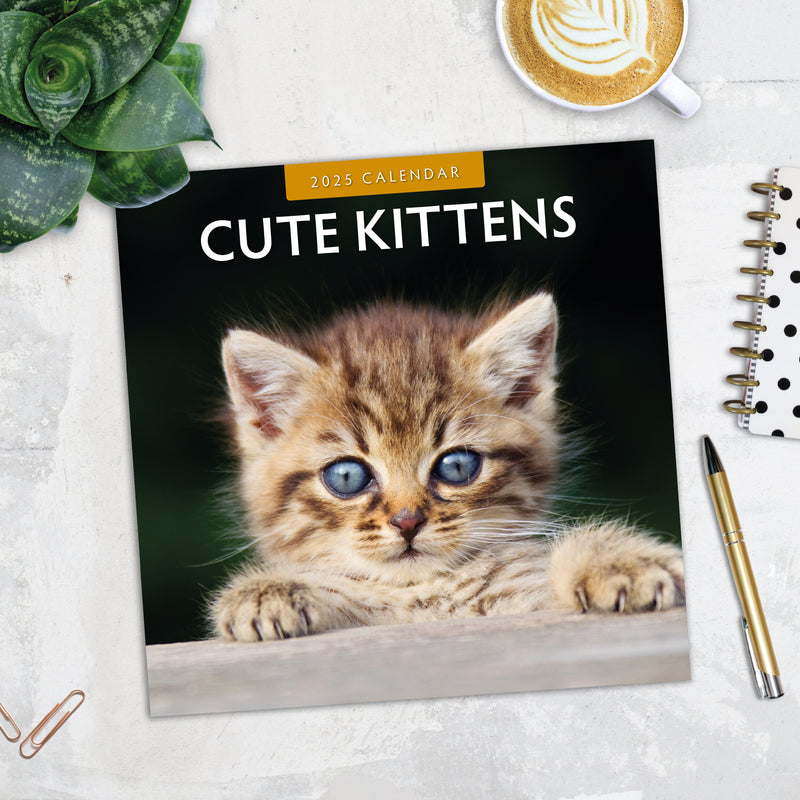 Cute Kittens 2025 Square Wall Calendar