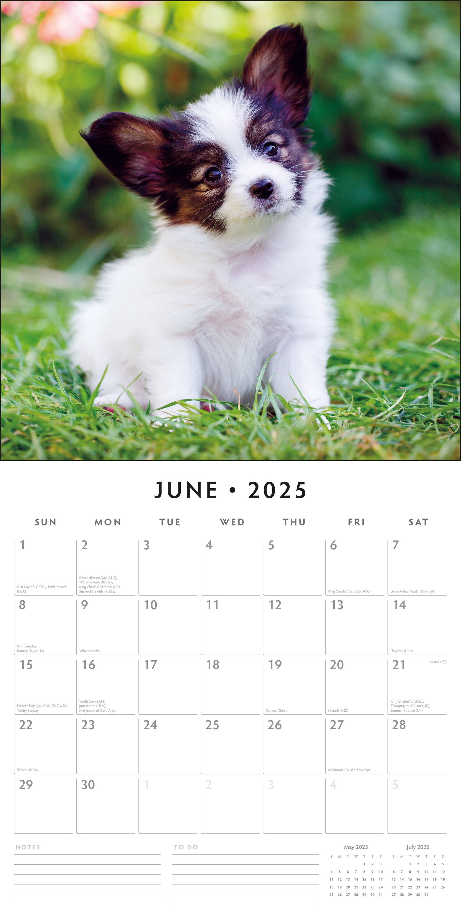 Cute Puppies 2025 Square Wall Calendar