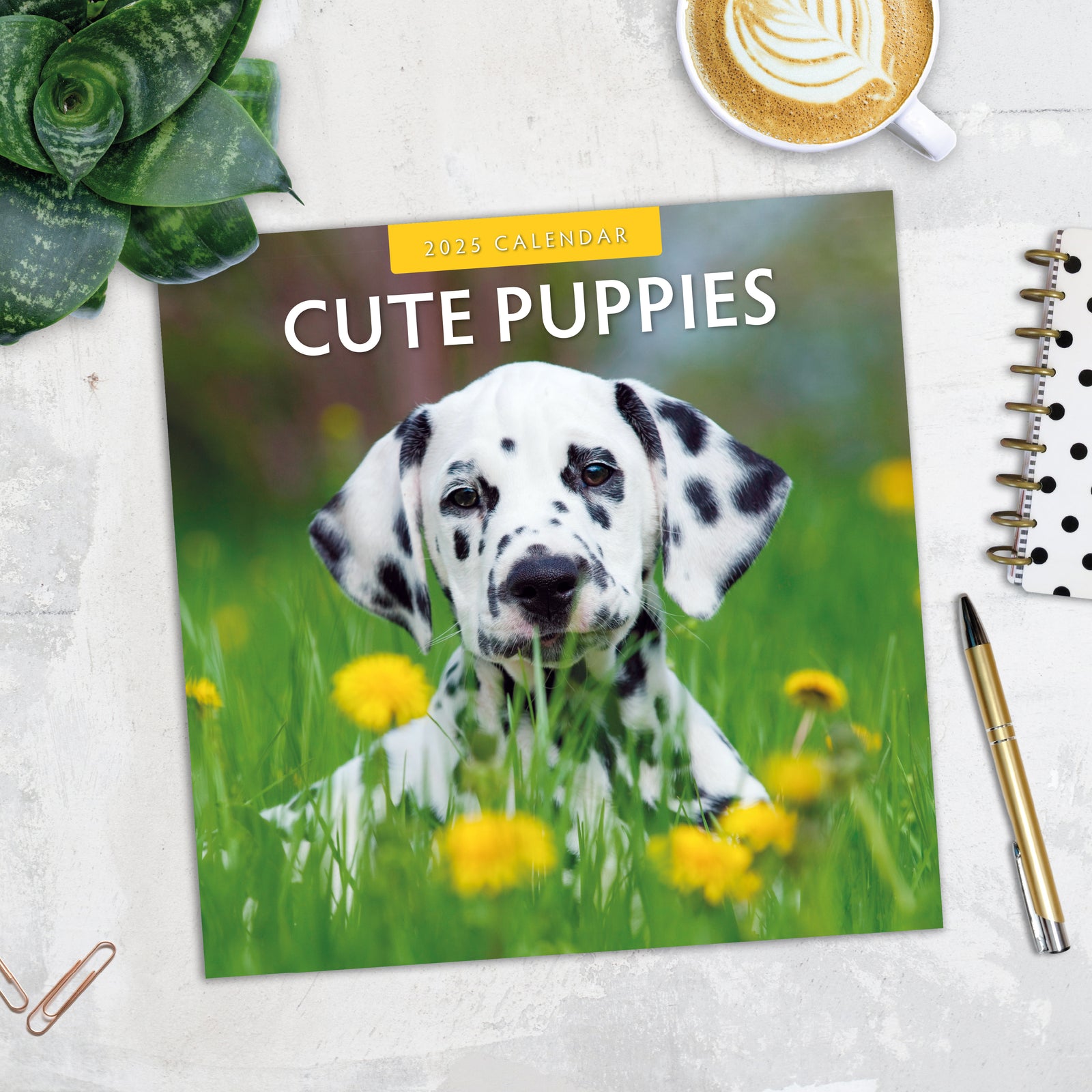 Cute Puppies 2025 Square Wall Calendar