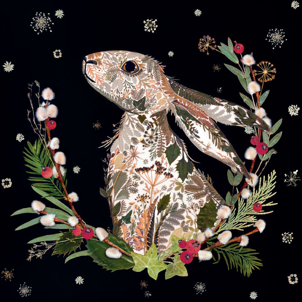 Winter Wild Press - Winter Hare by Helen Ahpornsiri Pack of 8 Christmas Cards - Bee's Emporium