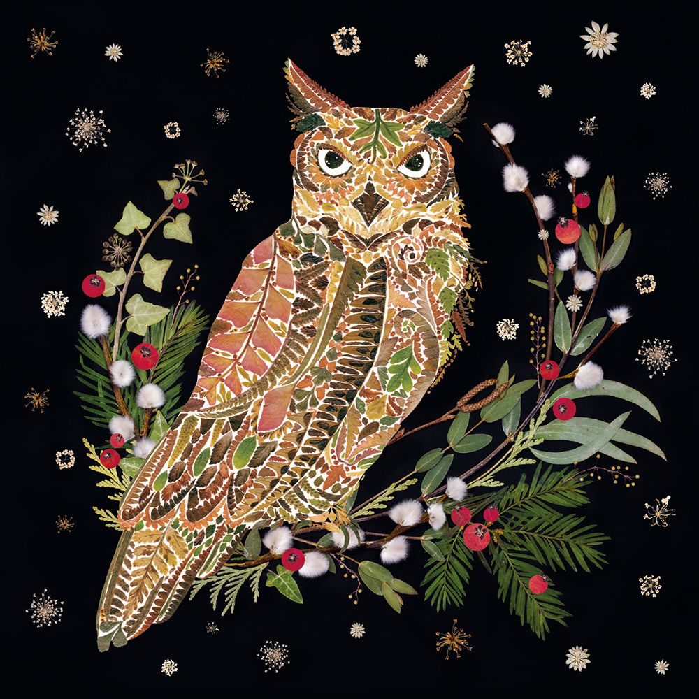 Winter Wild Press Great Horned Owl by Helen Ahpornsiri Pack of 8 Christmas Cards - Bee's Emporium