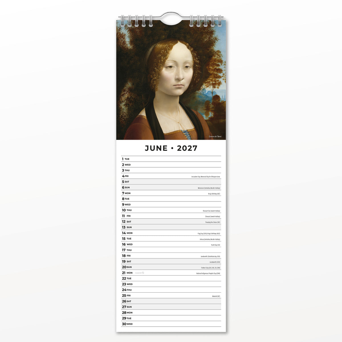 Da Vinci 2027 Slim Wall Calendar