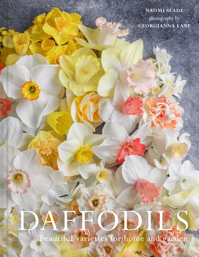 Daffodils: Beautiful varieties for home and garden (Hardcover)
