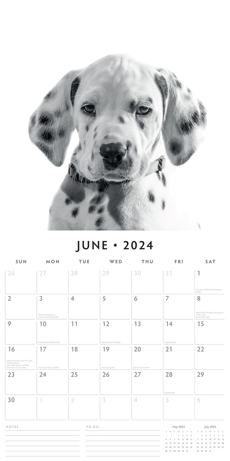 Dalmatians 2024 Square Wall Calendar