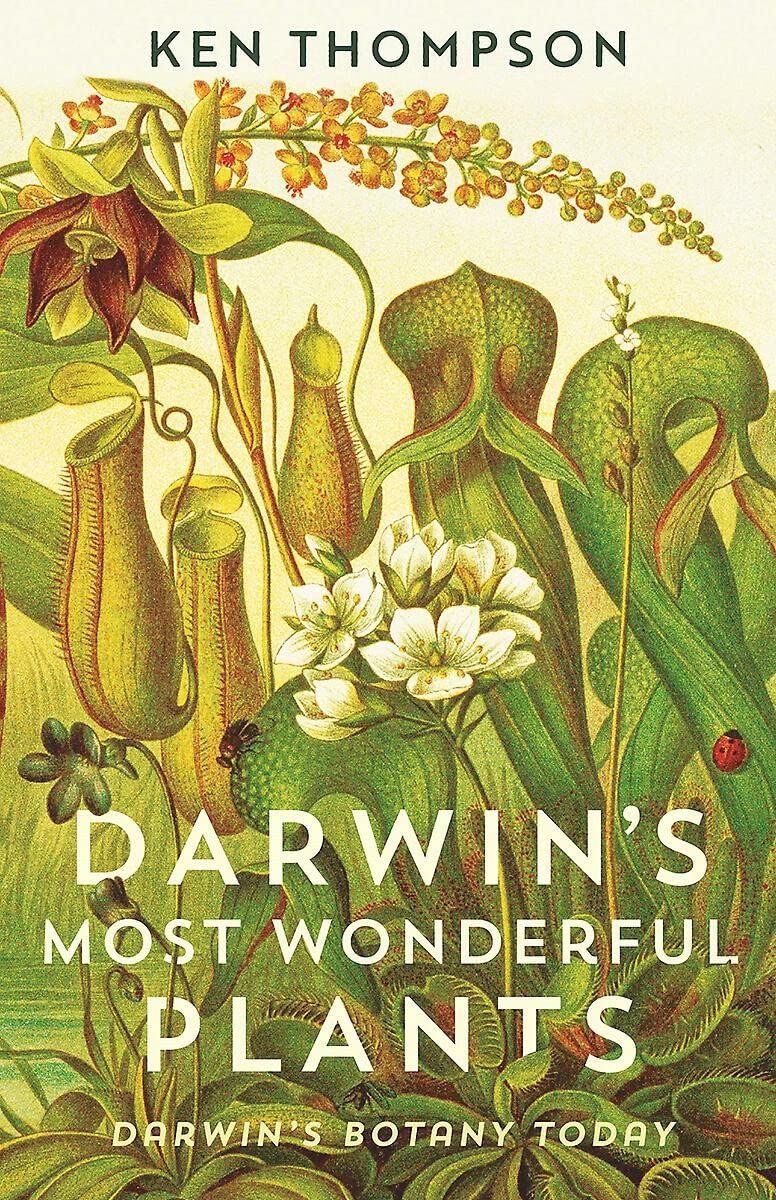 Darwin's Most Wonderful Plants: Darwin's Botany Today (Paperback)
