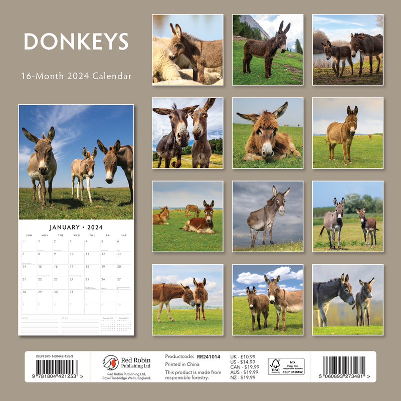Donkeys 2024 Square Wall Calendar