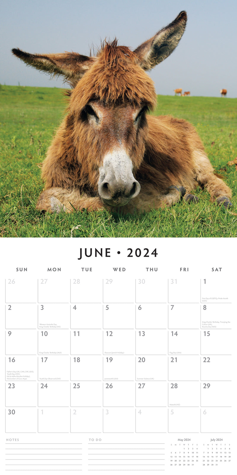 Donkeys 2024 Square Wall Calendar