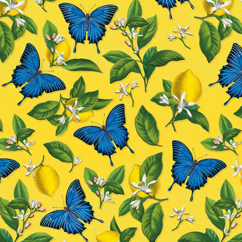 Natural History Museum Ulysses Butterfly & Lemons 6 Luxury Square Notecards Wallet