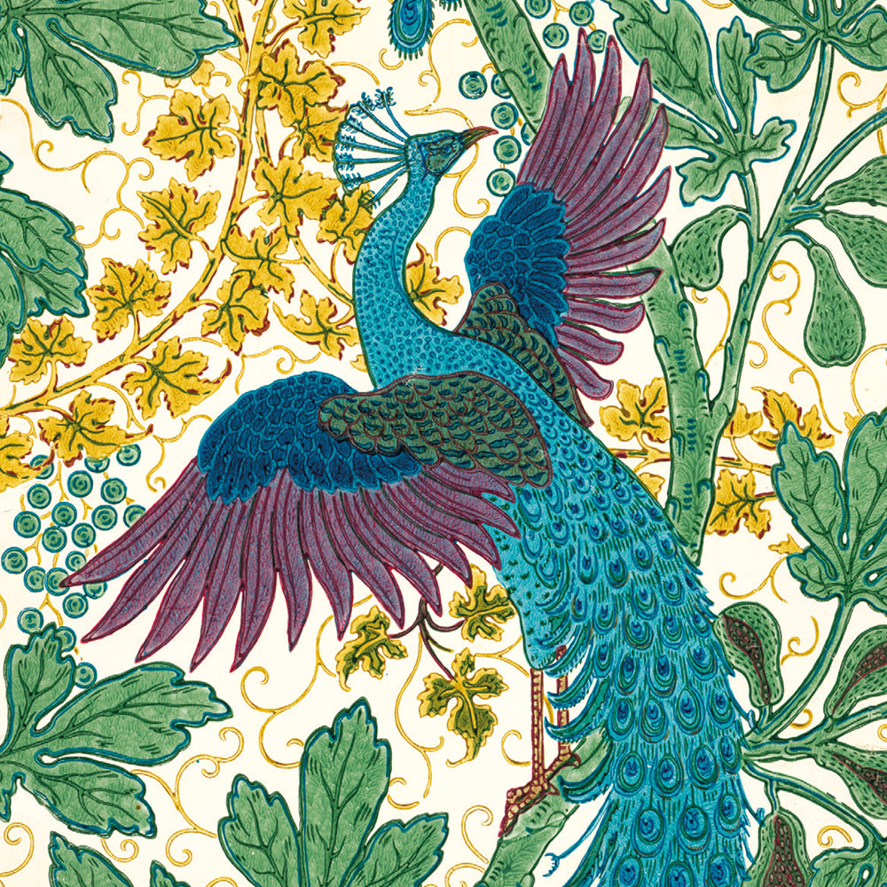 V&A Fig and Peacock 8 Mini Notecards Wallet with Envelopes