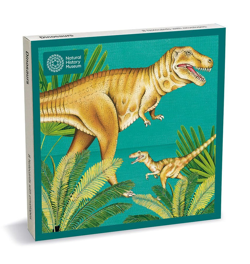Natural History Museum Dinosaurs 8 Square Notecards Wallet