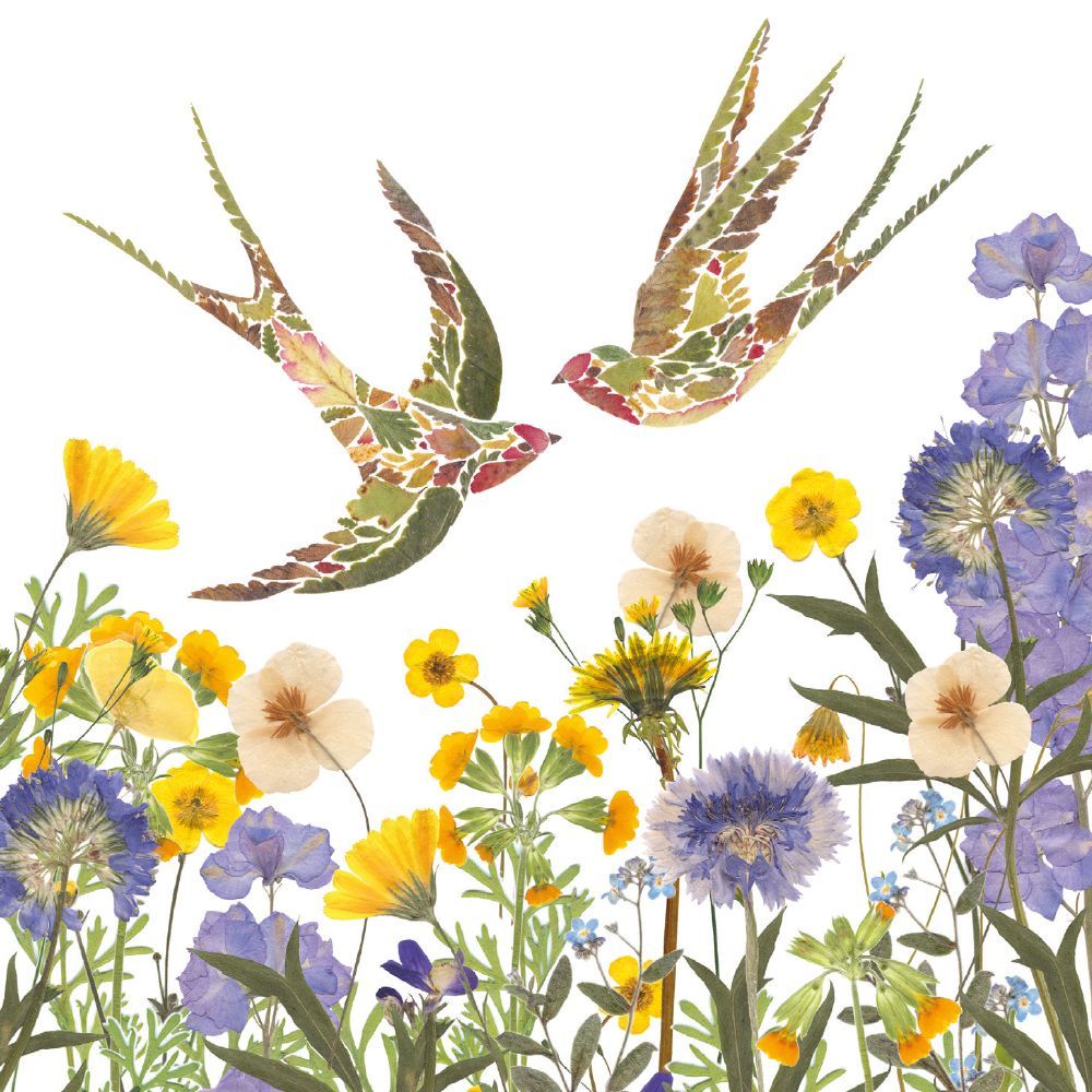 Wild Press by Helen Ahpornsiri Birds 8 Square Notecards Wallet - Bee's Emporium