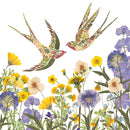 Wild Press by Helen Ahpornsiri Birds 8 Square Notecards Wallet