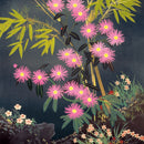 Transport for London Floral Posters 8 Square Notecards Wallet