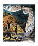 Angela Harding Wild Nights 8 Rectangle Notecards Wallet - Bee's Emporium