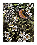 Angela Harding Blossom & Berries 8 Rectangle Notecards Wallet - Bee's Emporium