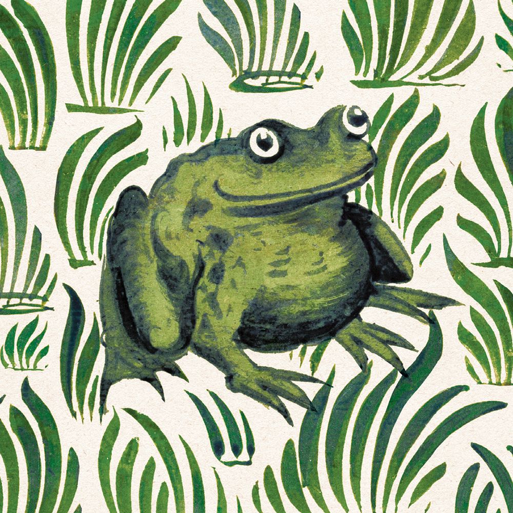 V&A William De Morgan Frog Tile 8 Mini Notecards Wallet - Bee's Emporium