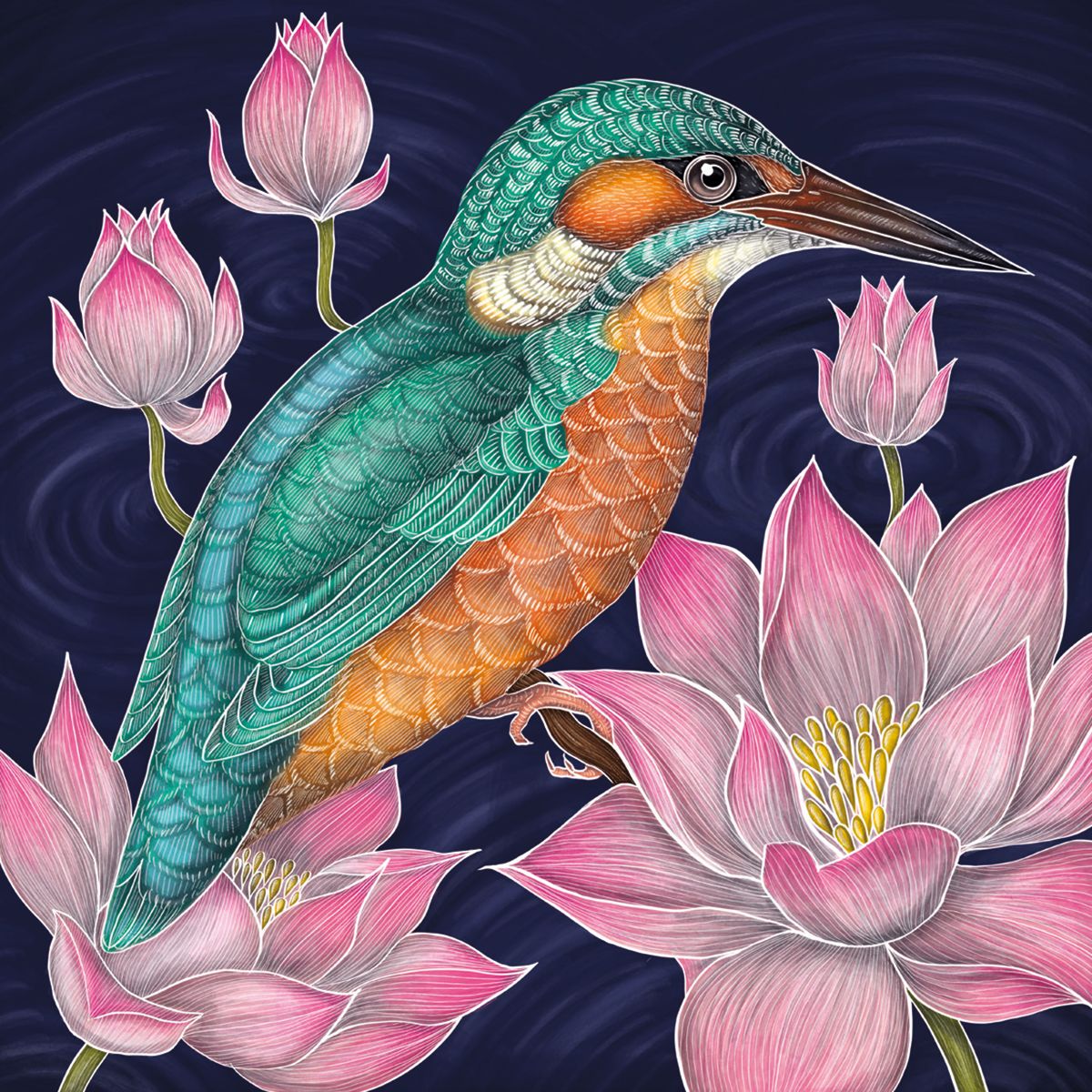 Catherine Rowe Kingfisher 8 Mini Notecards Wallet - Bee's Emporium
