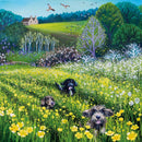 Field of Dreams by Anne-Marie Dahlstrom 8 Mini Notecards Wallet