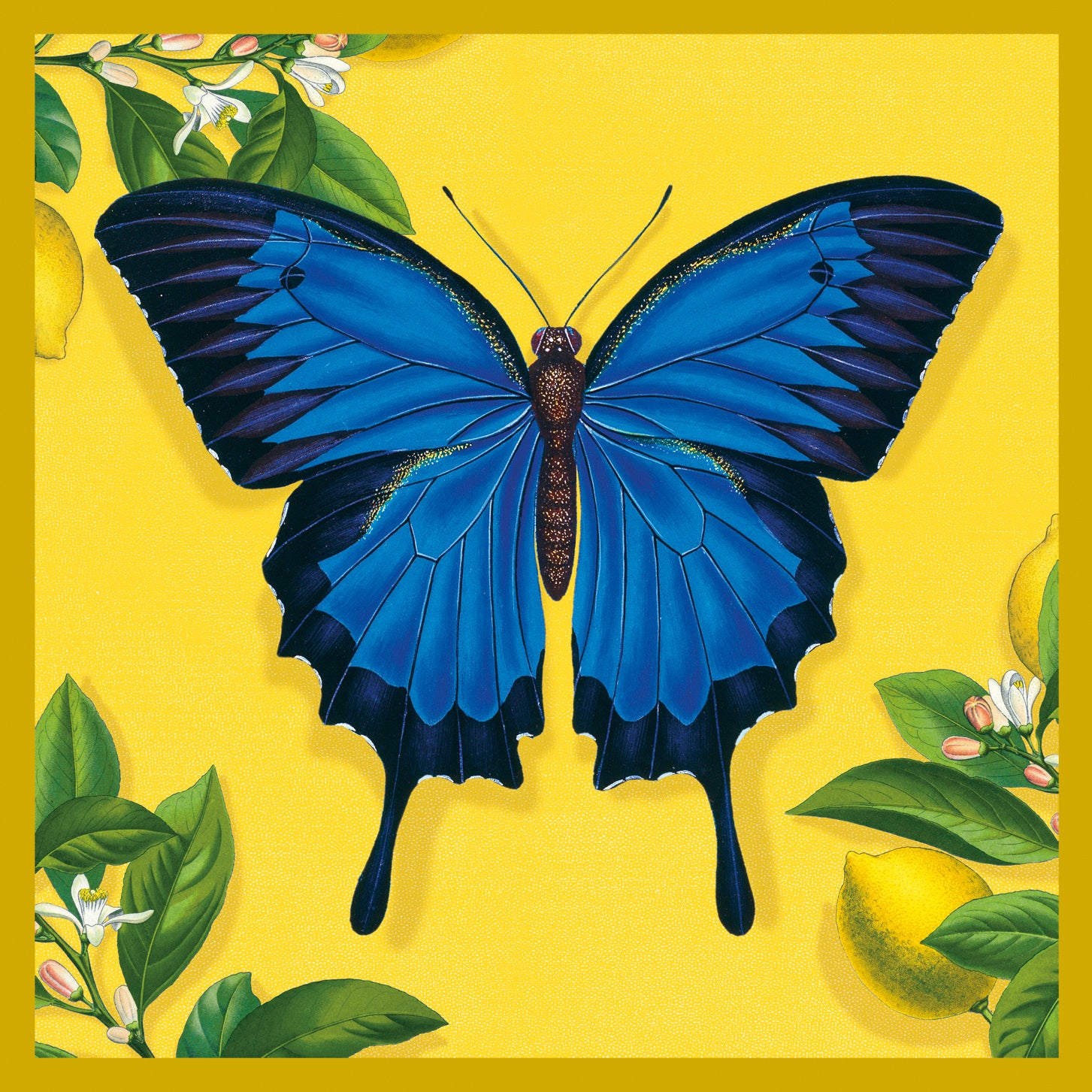 Natural History Museum Exotic Animals Box of 20 Notecards with Envelopes