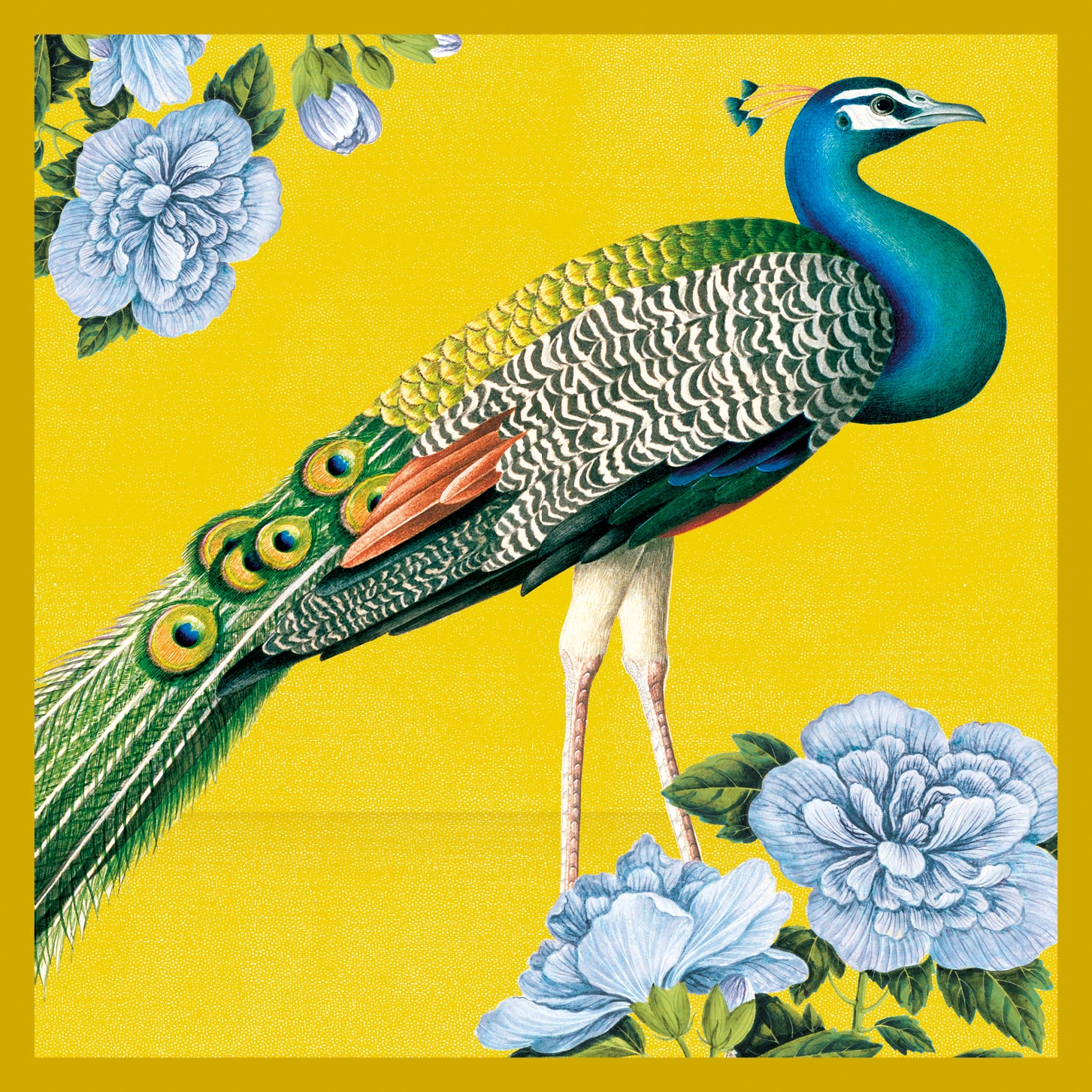 Natural History Museum Exotic Animals Box of 20 Notecards with Envelopes