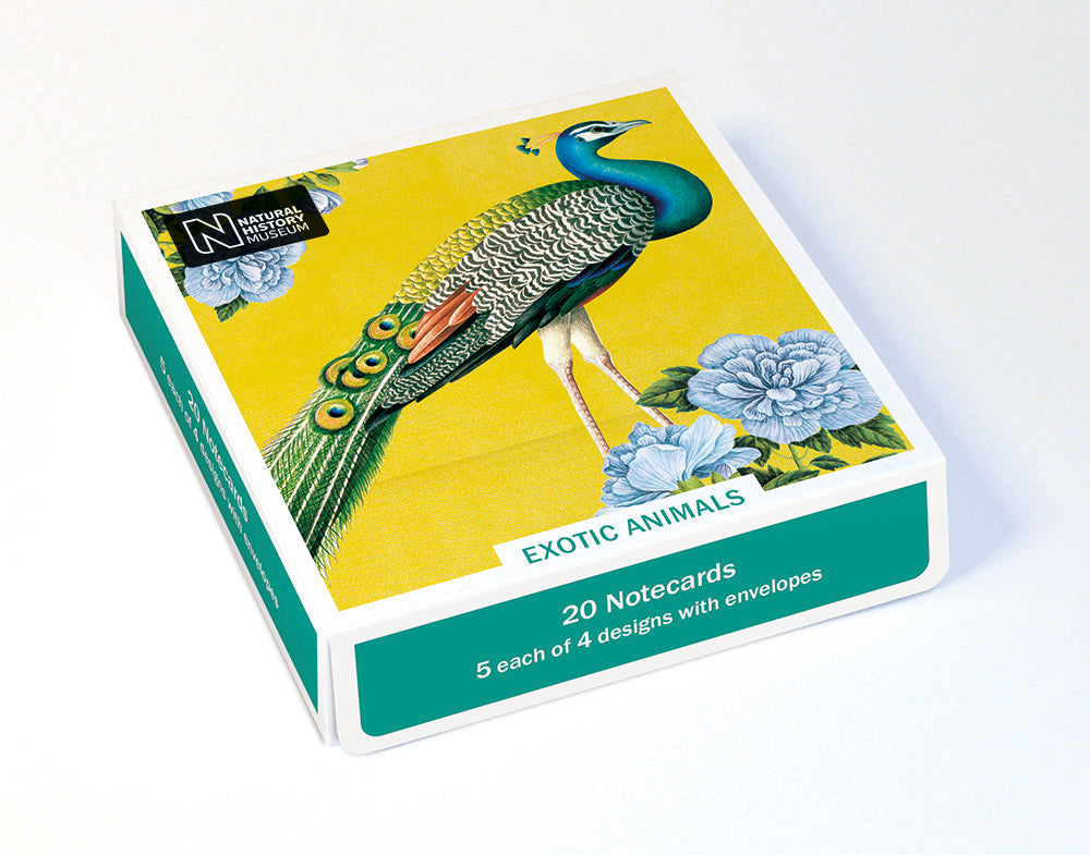 Natural History Museum Exotic Animals Box of 20 Notecards with Envelopes