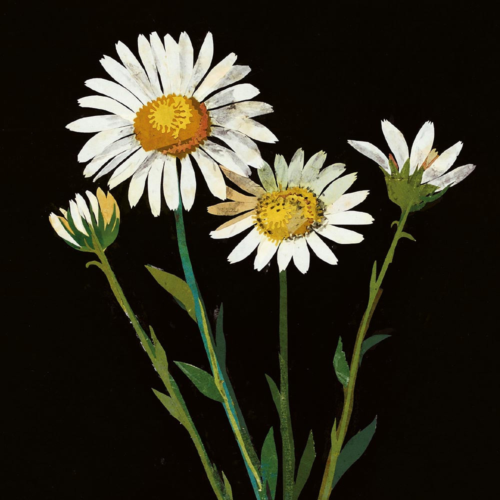 The British Museum Flowers by Mary Delany Box of 20 Notecards with Envelopes - Bee's Emporium