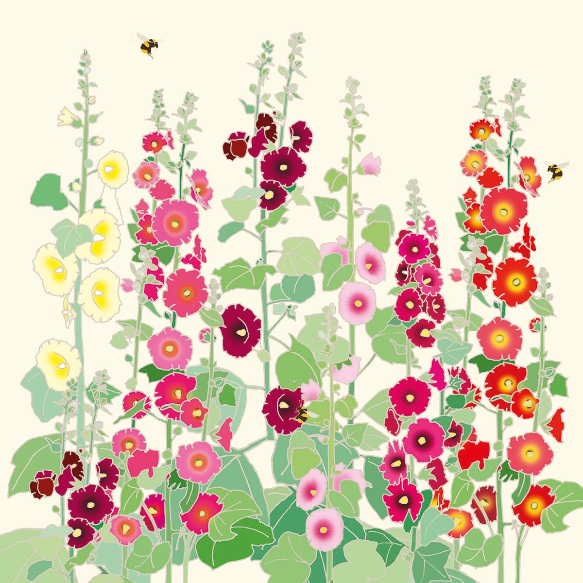 Emily Burningham Flowers in Bloom Box of 20 Notecards with Envelopes - Bee's Emporium