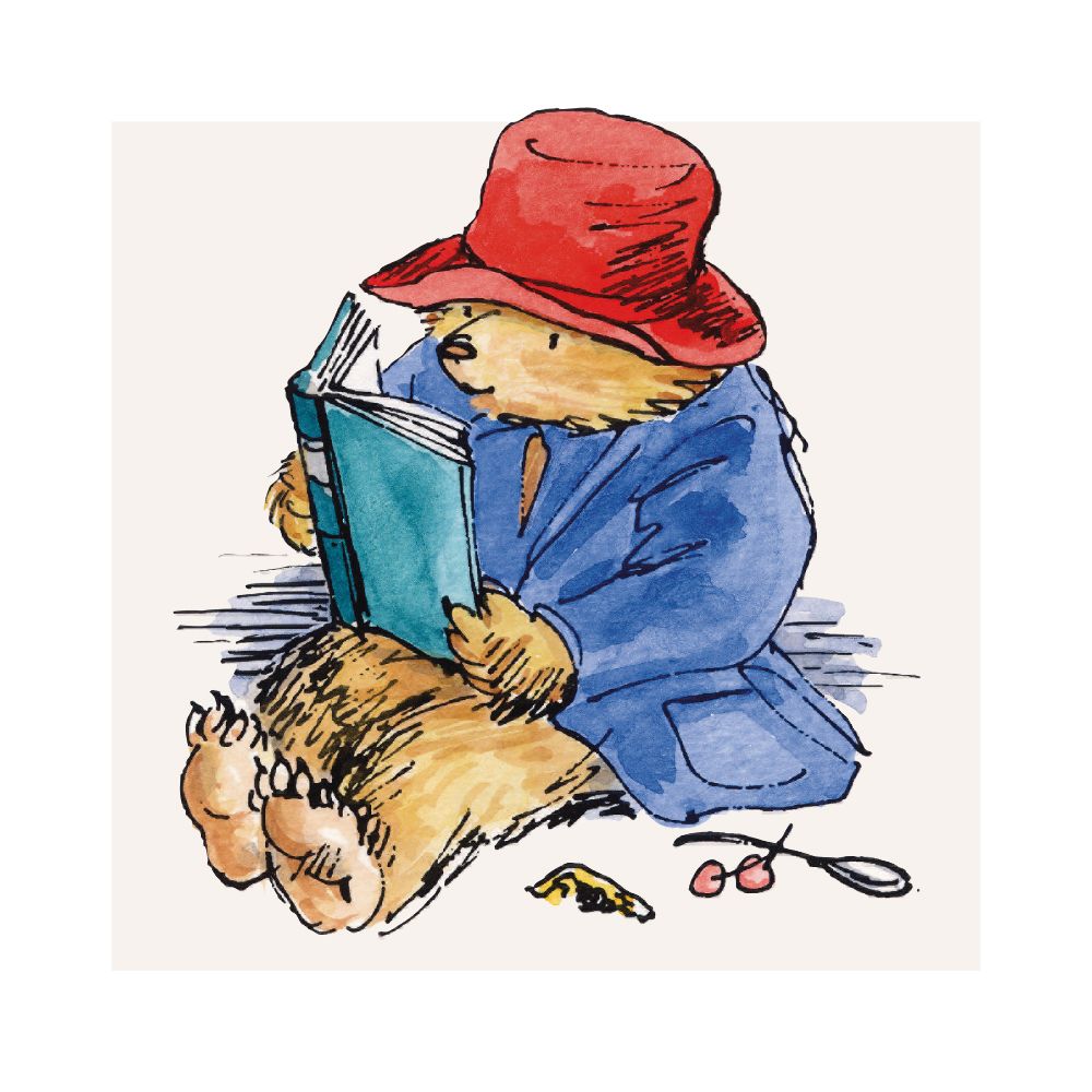 Paddington Bear Box of 16 Notecards with Envelopes - Bee's Emporium