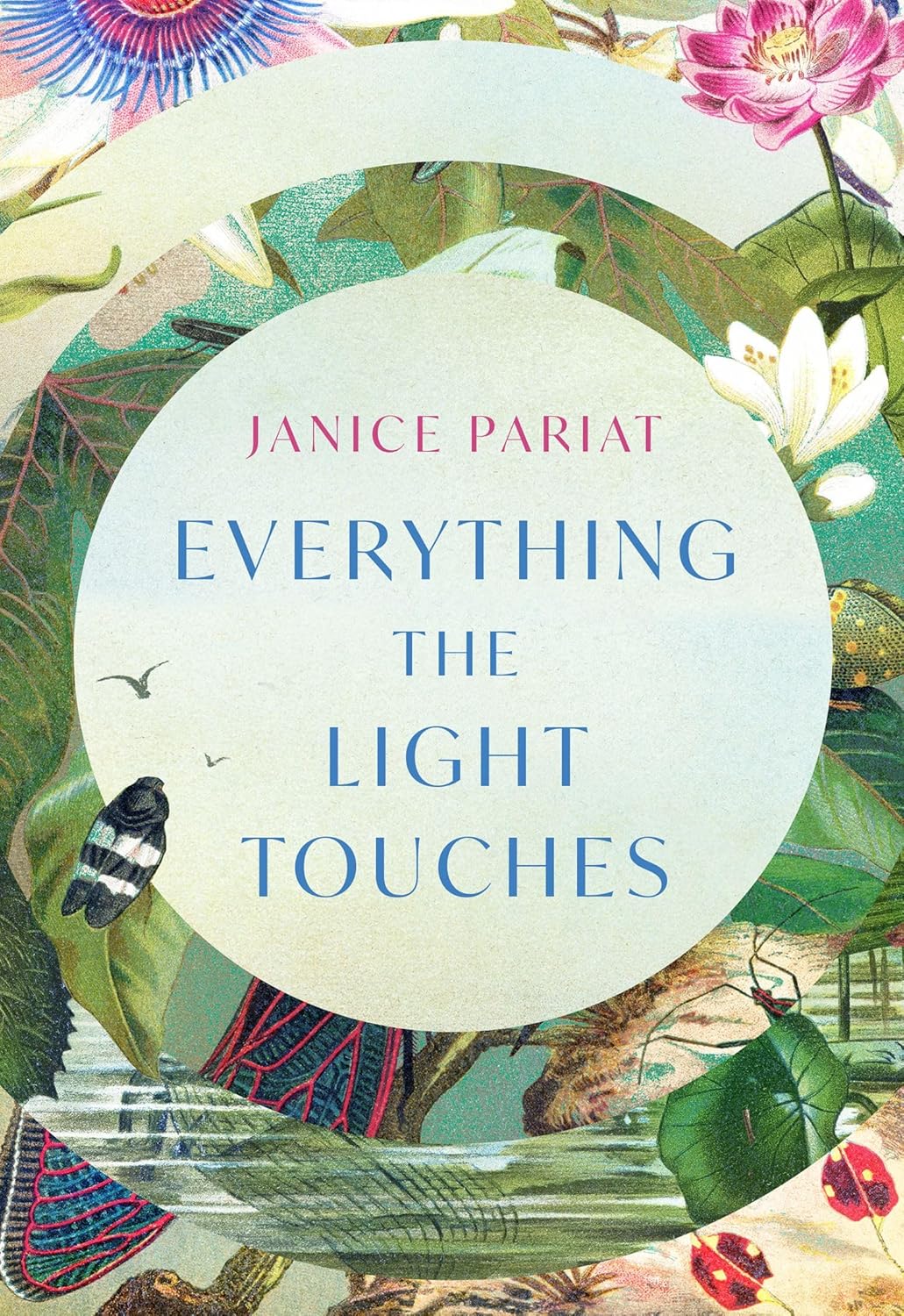Everything the Light Touches by Janice Pariat (Hardcover) - Bee's Emporium