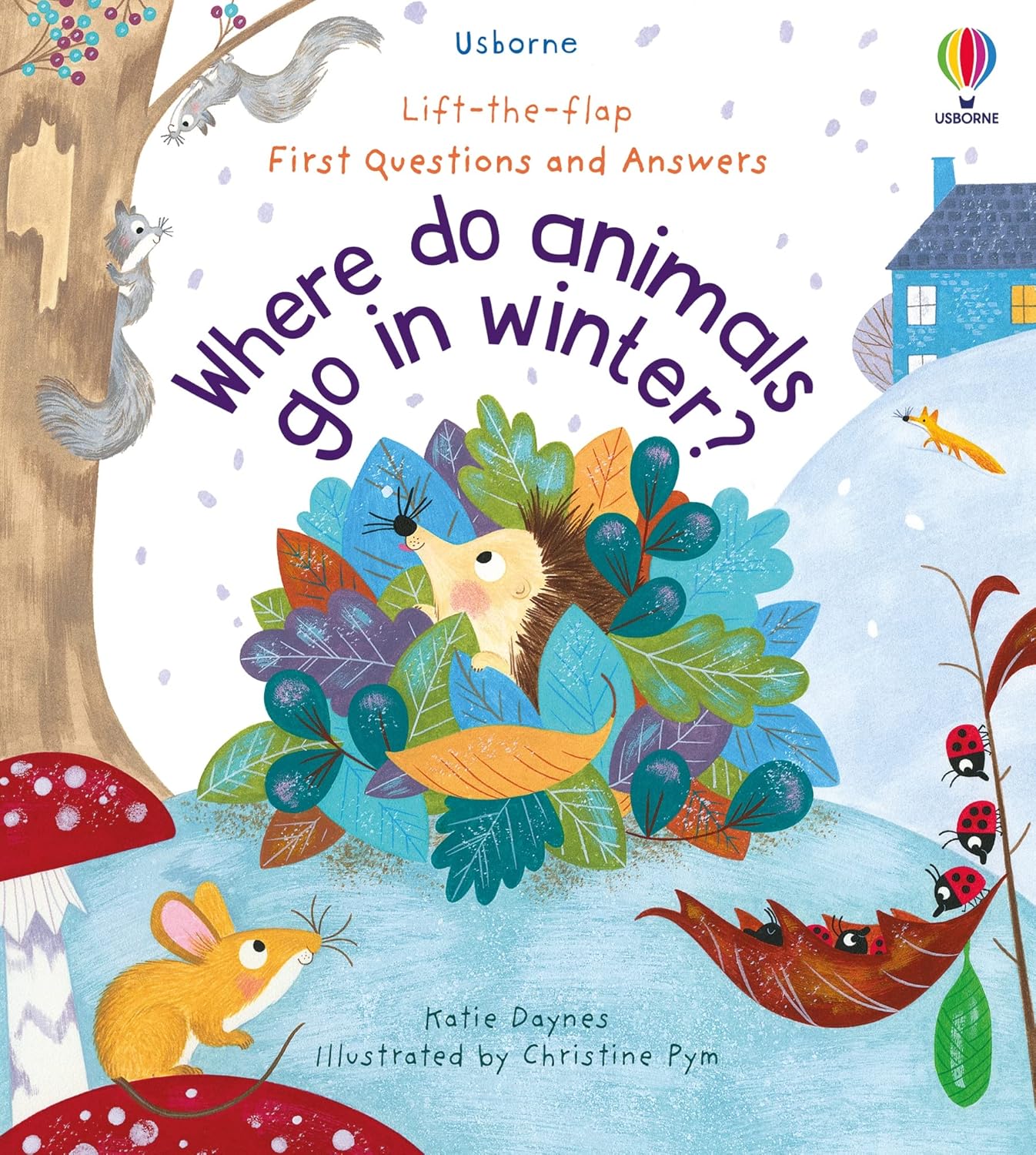 Where Do Animals Go in Winter? (Lift-the-Flap First Questions & Answers) (Board Book) - Bee's Emporium