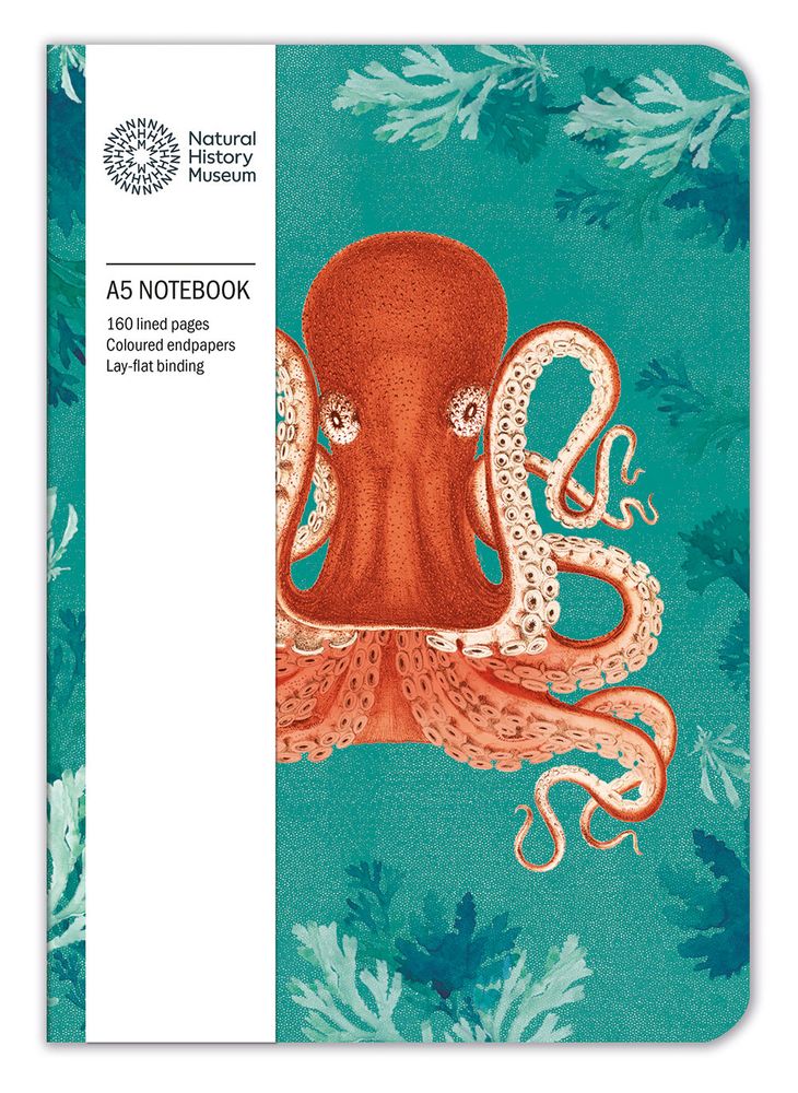 Natural History Museum Octopus A5 Notebook - Bee's Emporium