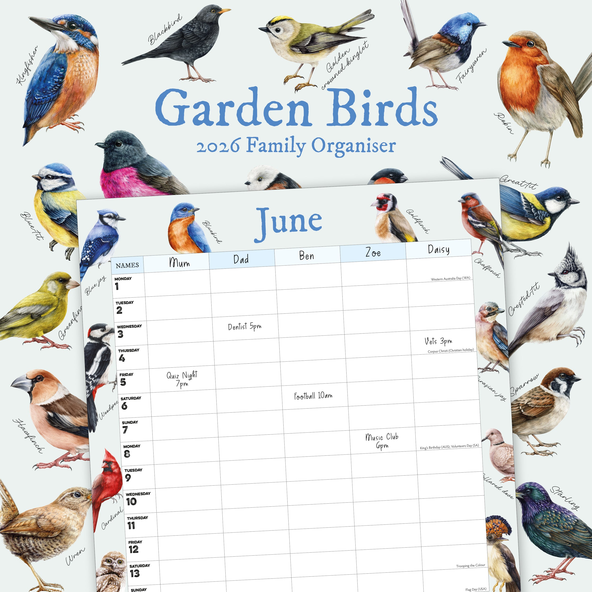 Garden Birds Illustrated Family Organiser - 2026 Square Wall Calendar - Bee's Emporium