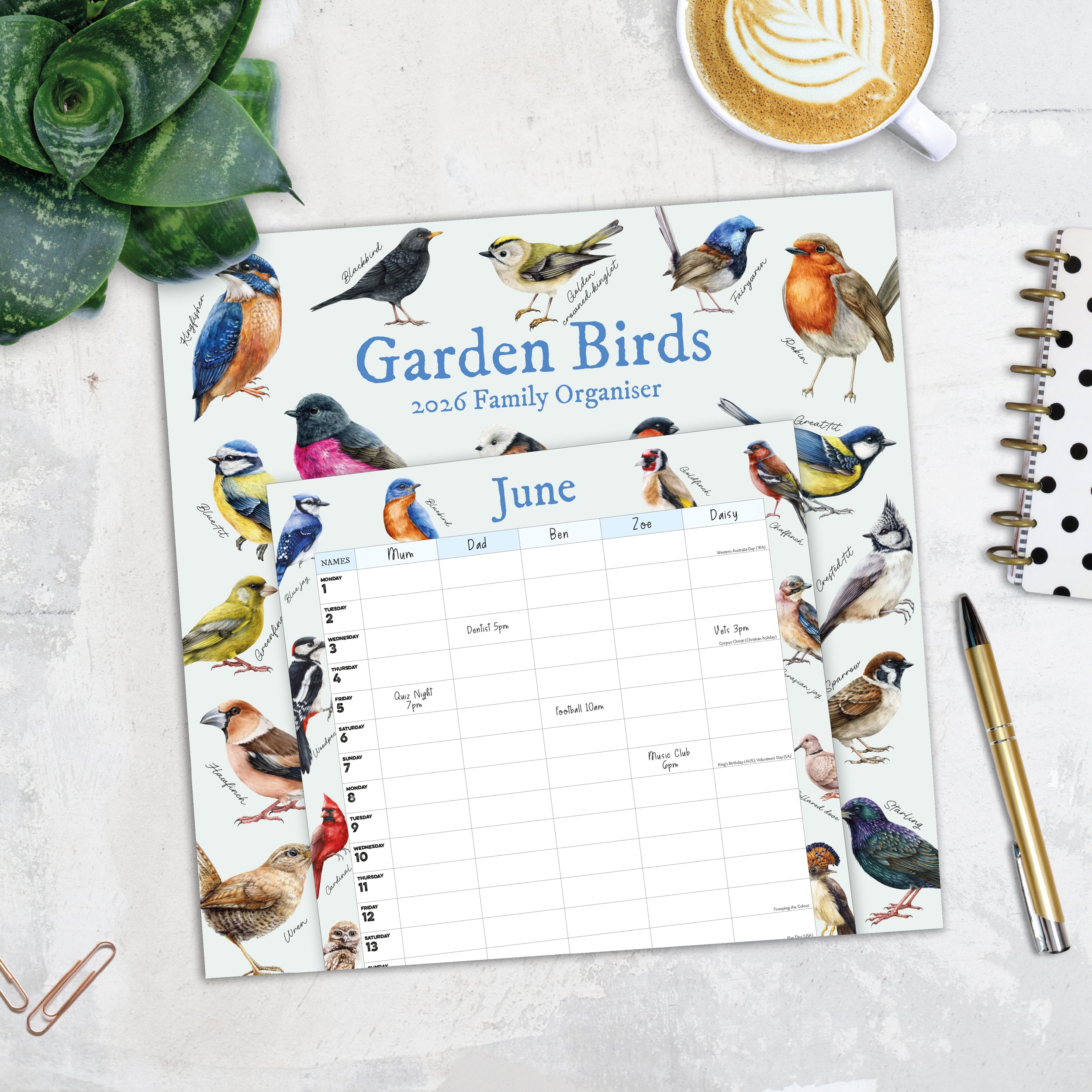 Garden Birds Illustrated Family Organiser - 2026 Square Wall Calendar - Bee's Emporium