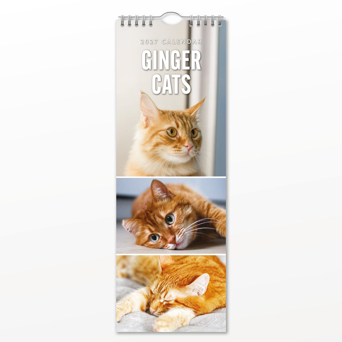Ginger Cats 2027 Slim Wall Calendar