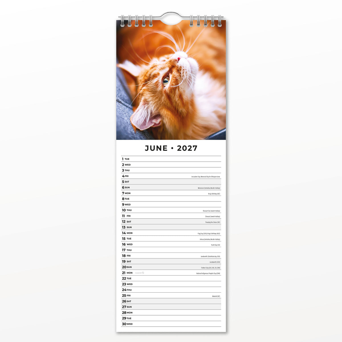 Ginger Cats 2027 Slim Wall Calendar