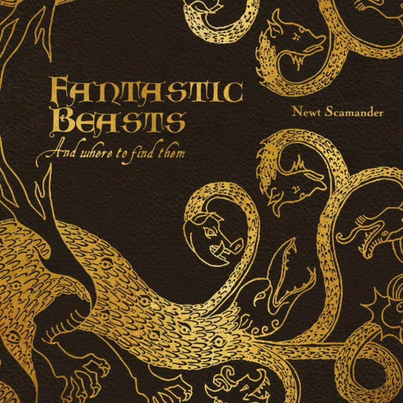 Harry Potter Fantastic Beasts Blank Greeting Card with Envelope