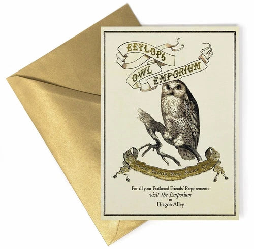 Harry Potter Eeylops Owl Emporium Blank Greeting Card with Envelope