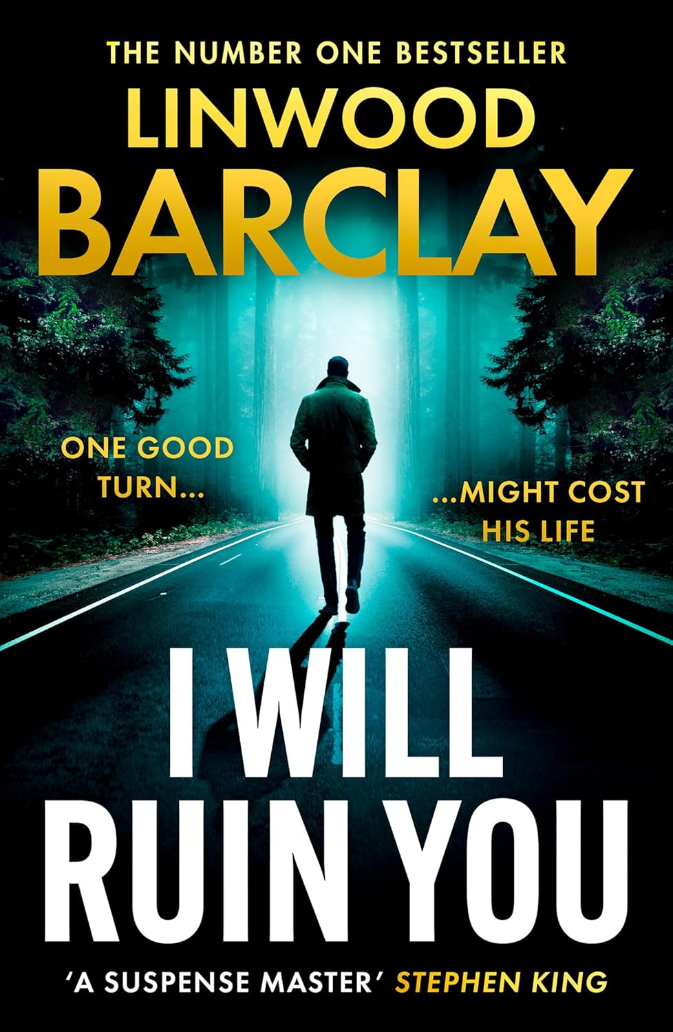 I Will Ruin You by Linwood Barclay (Paperback)