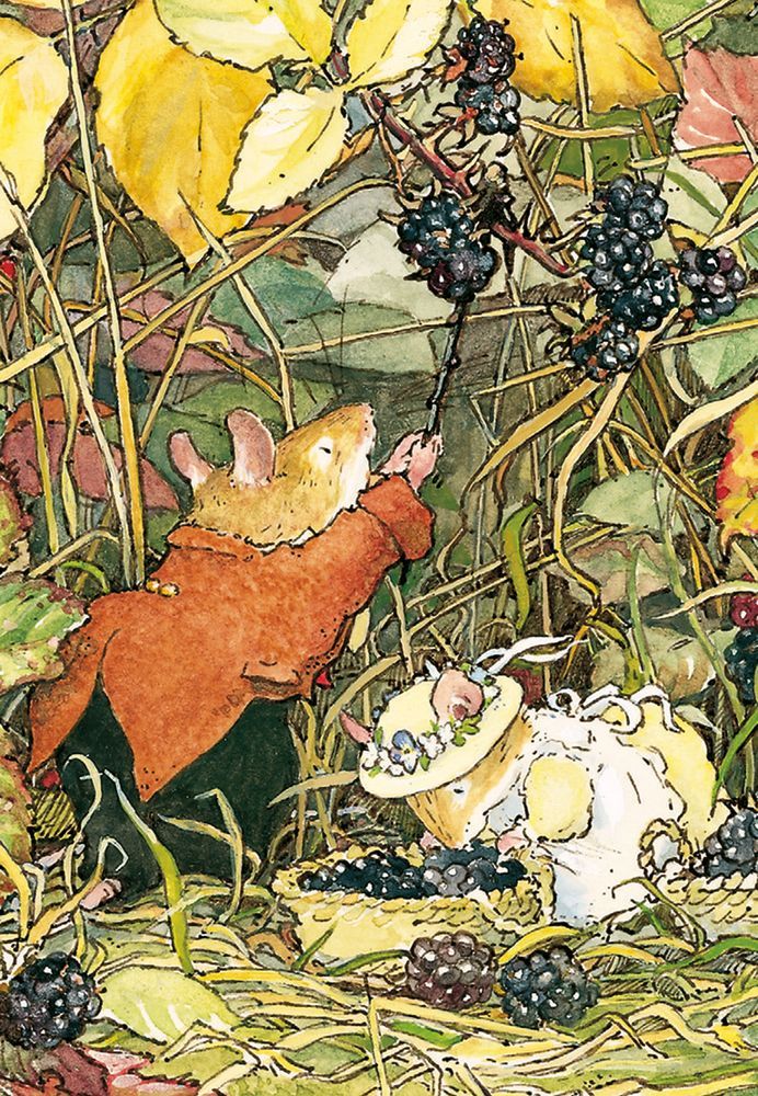 Brambly Hedge by Jill Barklem 20 Mini Notecards Cube - Bee's Emporium