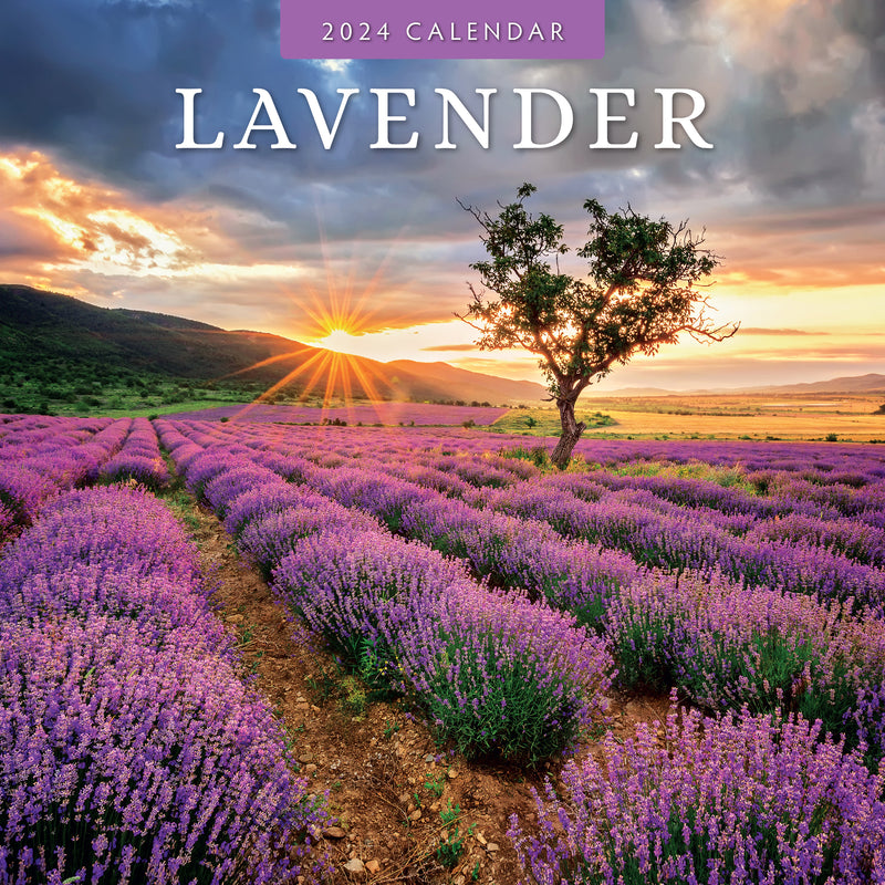 Lavender 2024 Square Wall Calendar