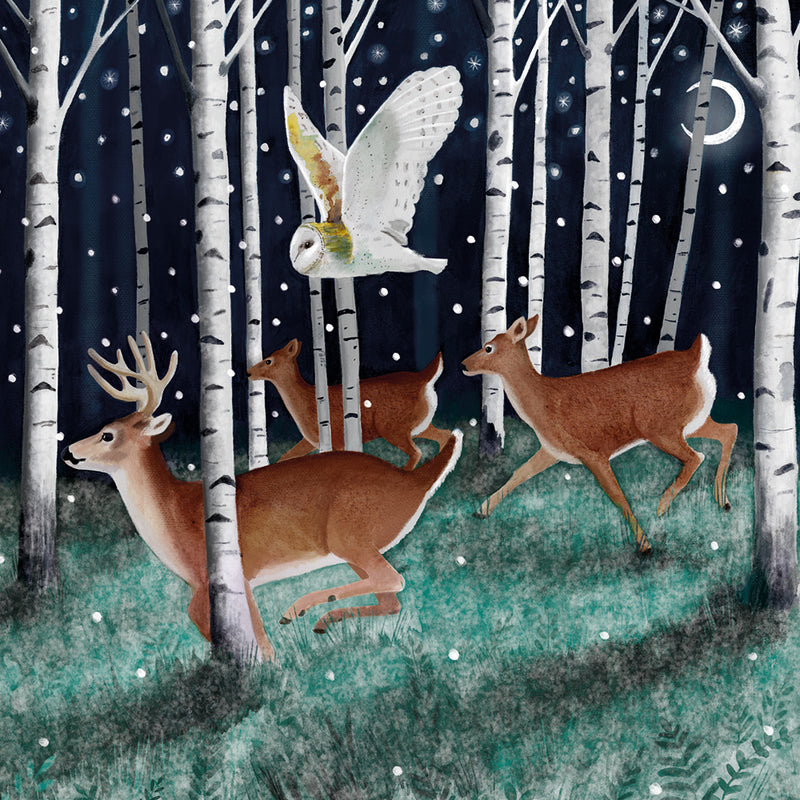 Silver Birch Forest by Bex Parkin Pack of 8 Charity Christmas Cards