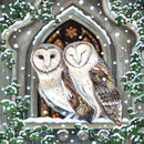 Owls in a Church Window by Lucy Grossmith Pack of 8 Charity Christmas Cards