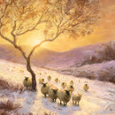 Winter Glow by Daniel Rodgers Pack of 5 Charity Christmas Cards